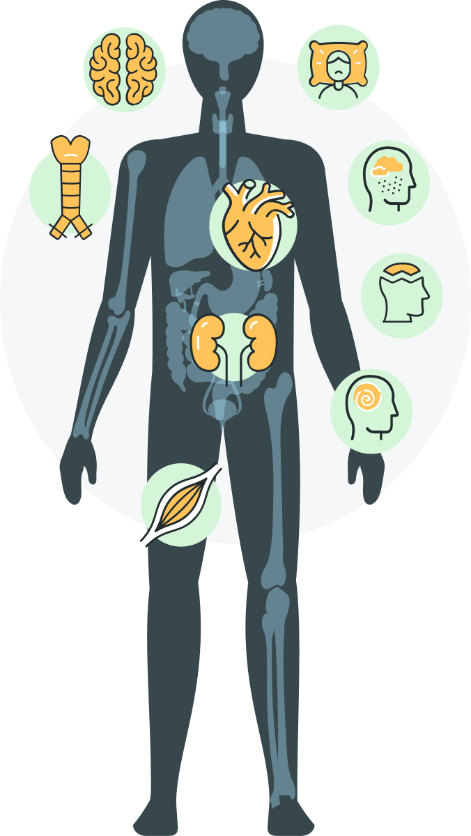 Icon of dark green human body showing bones, heart, kidneys, and urethra.6 symbols in light green surround the body depicting brain, sleep, emotions, and bone